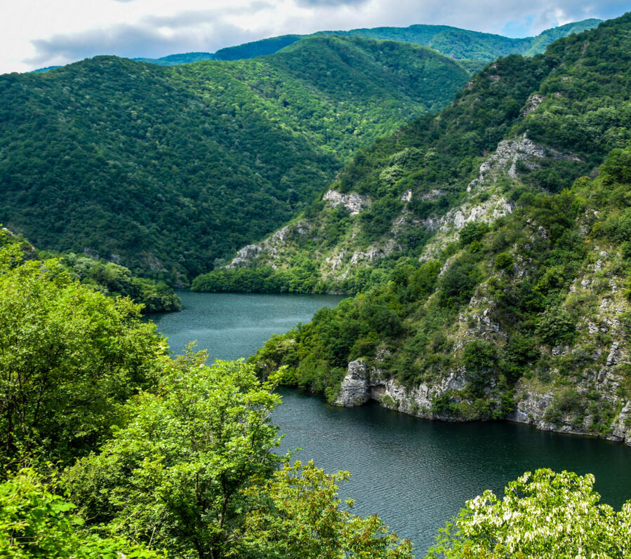 ivan-nedelchev-66JOmOvYoKE-unsplash